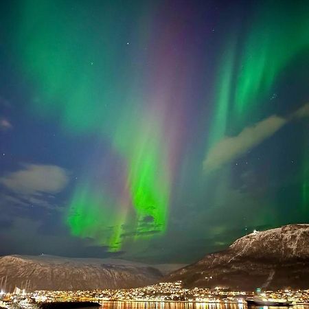 Leilighet Ved Havet Med Utsikt Over Tromsoysundet. Eksteriør bilde